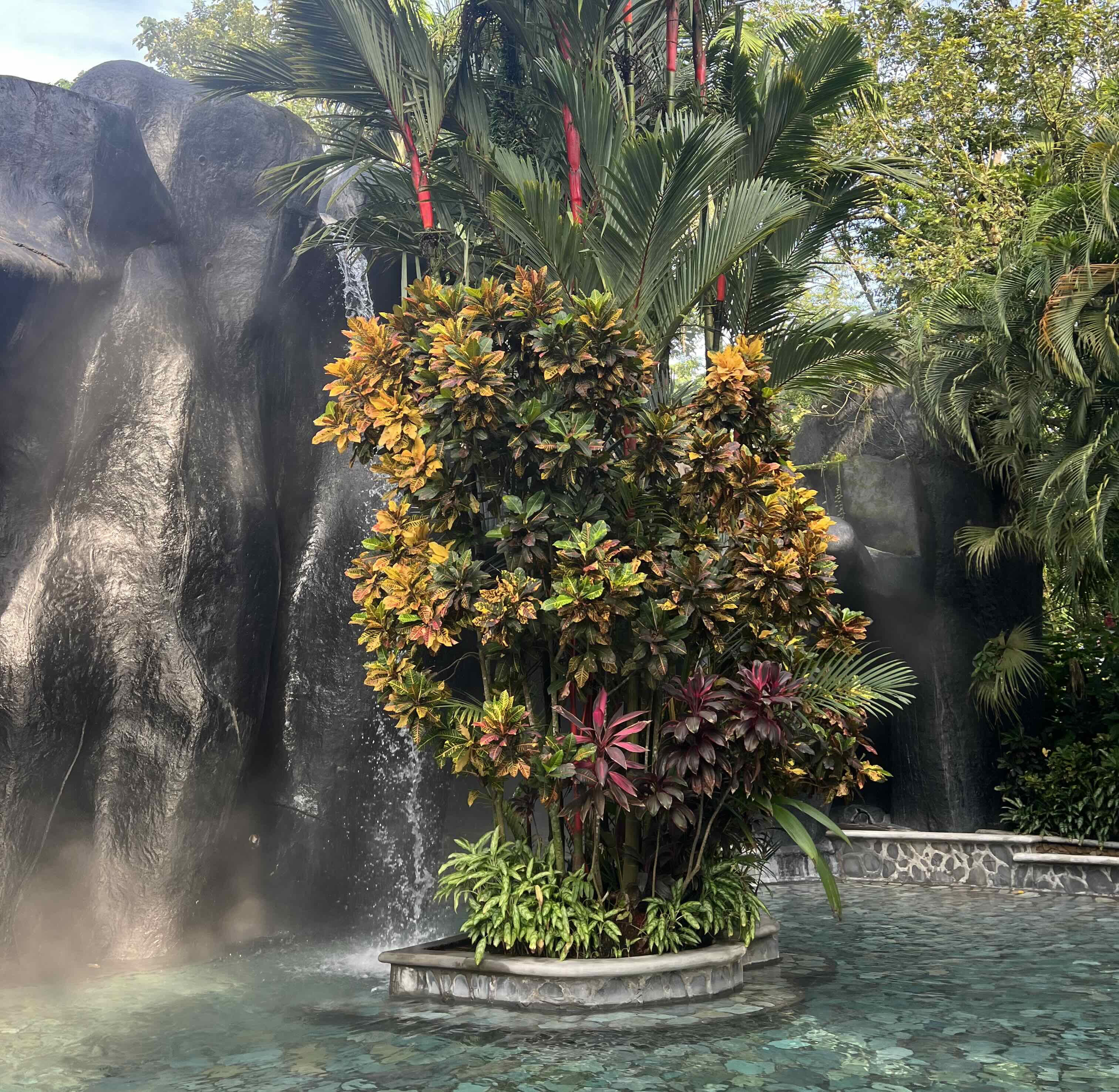 One of the Baldi Hot Springs