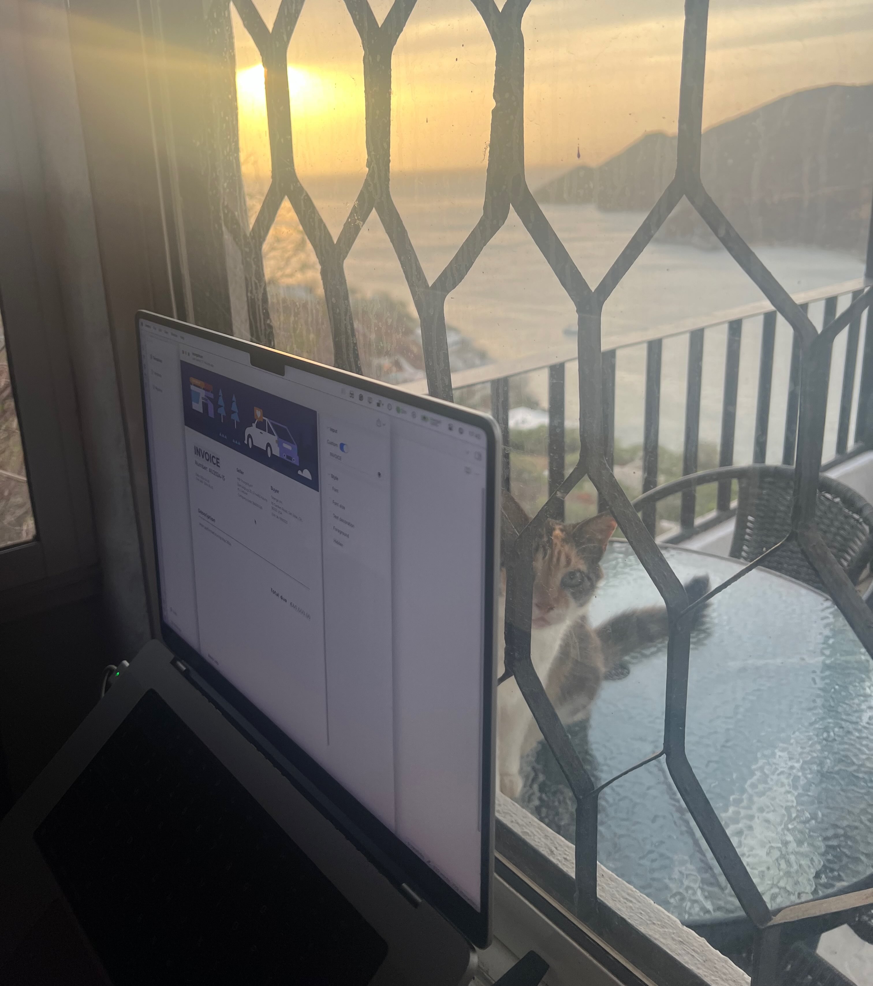 Laptop with Invoicy next to beautiful scenery with a cat looking at me.